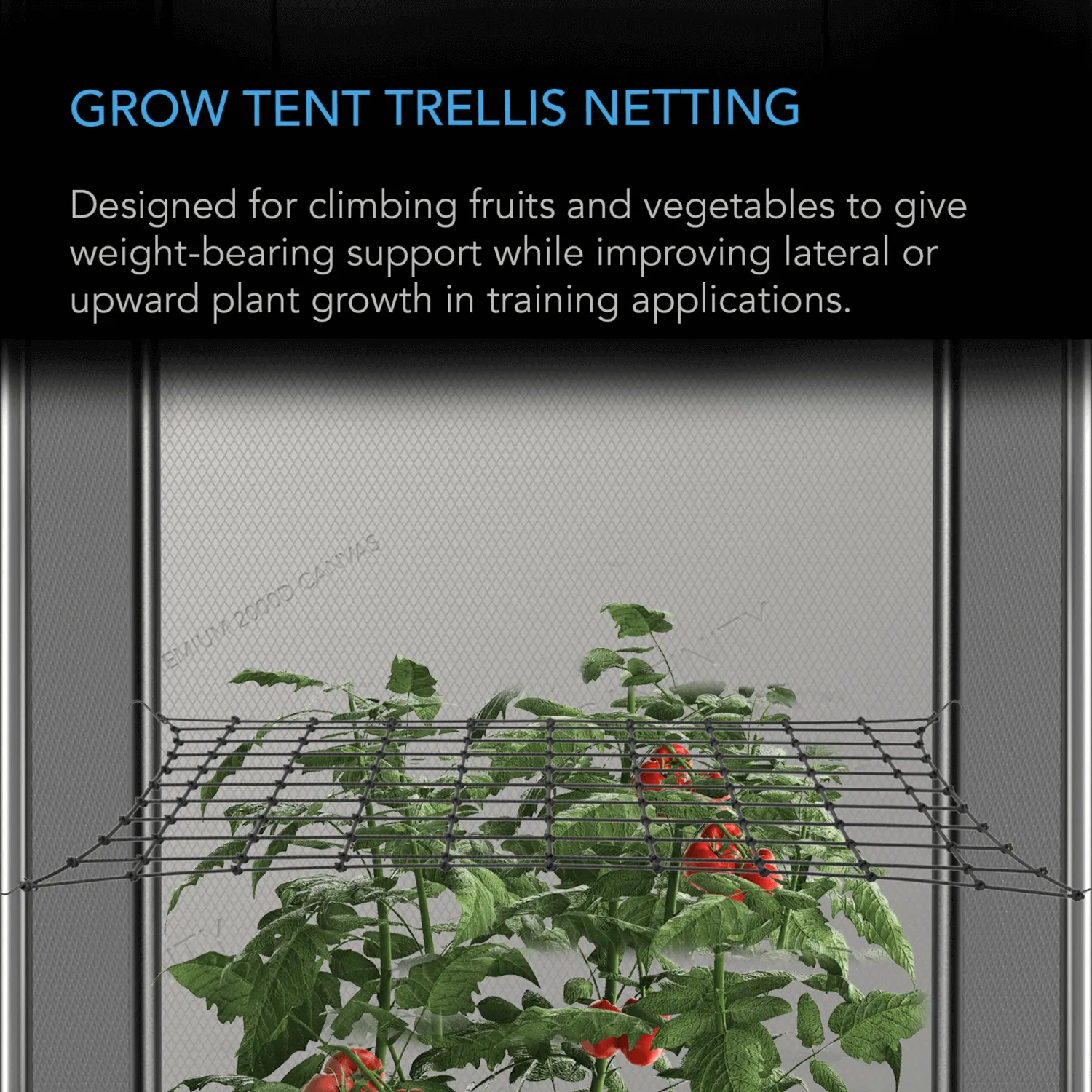 AC Infinity Grow Tent Trellis Netting, Flexible Elastic Cords, 5x5'
