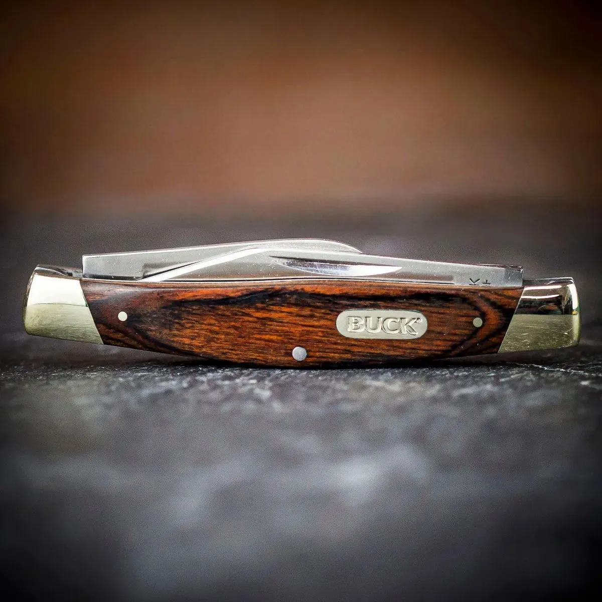 Buck Stockman Knife