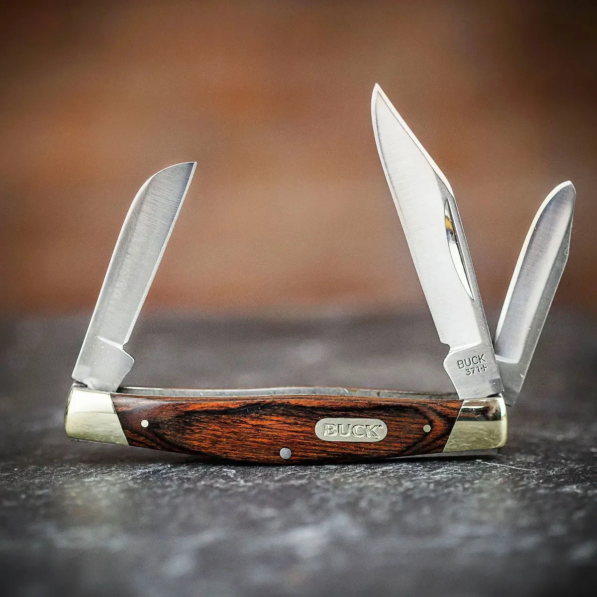 Buck Stockman Knife