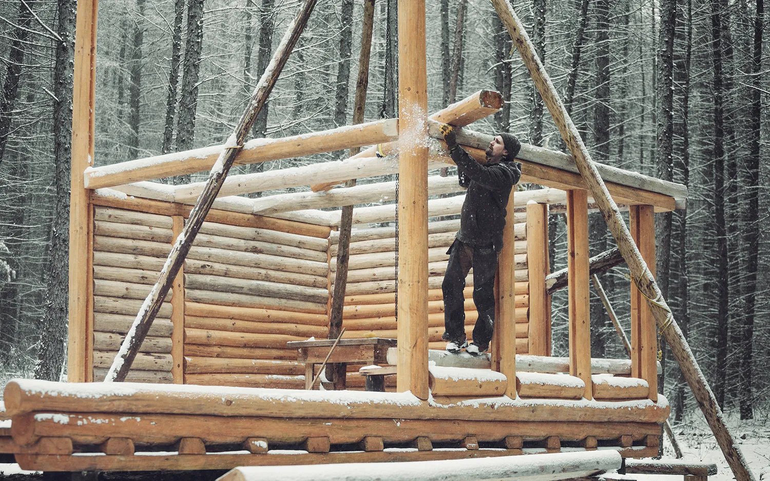Cody Bokshowan AKA Trustin Timber