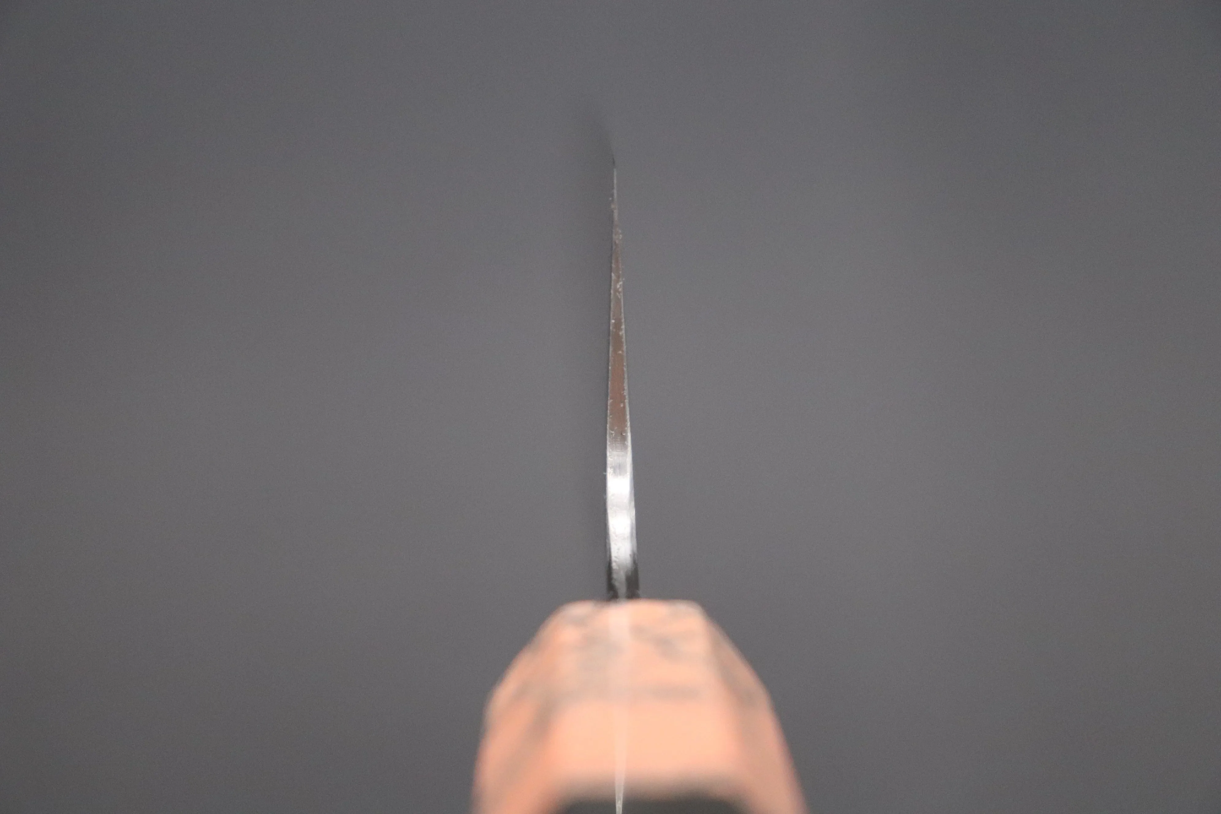 Custom Limited Edition, Sukenari HAP-40 Clad Kiritsuke 210mm (8.2 inch, SCL-436)