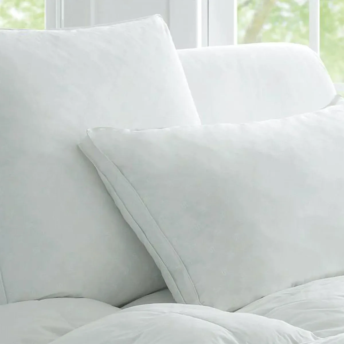 Deluxe Dream MEDIUM SUPPORT Pillow by Sheridan