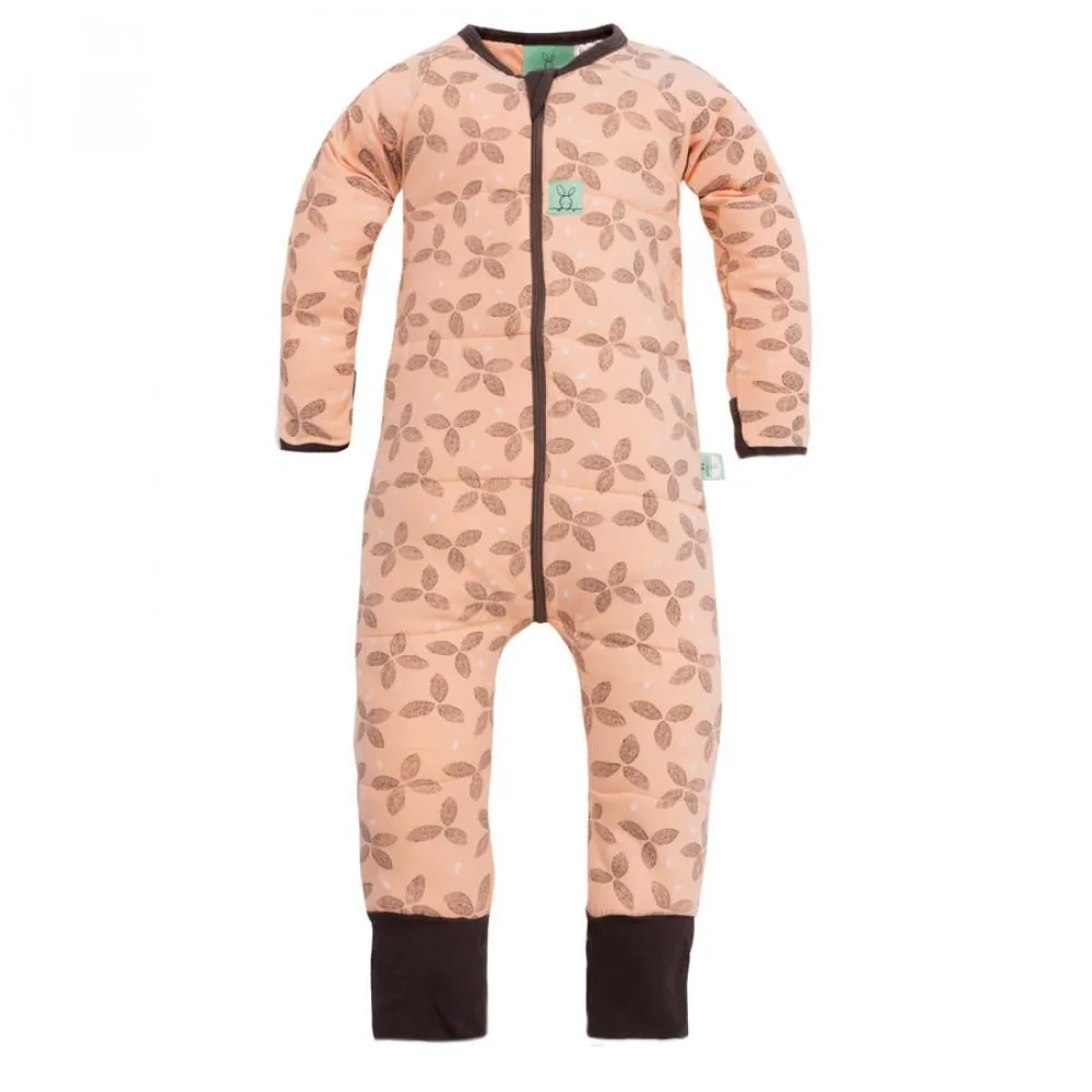 Ergopouch Winter Sleep Suit (2.5 Tog)