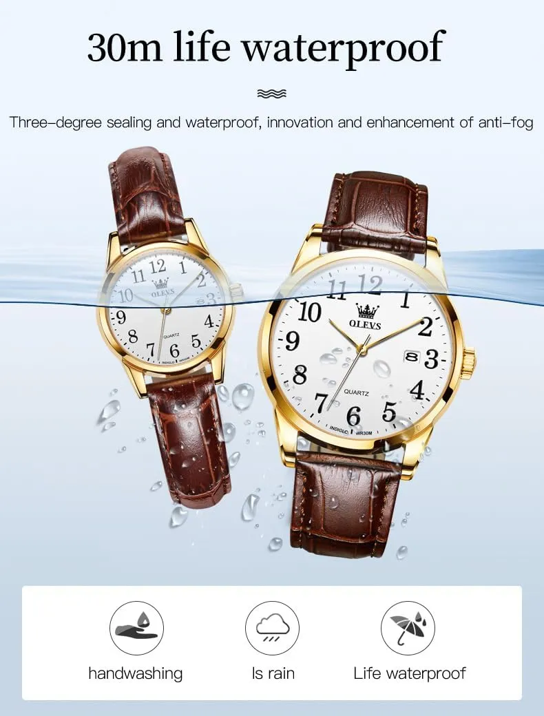 OLEVS Men's Watch,Classic Silver Watches for Men, Waterproof Stainless Steel Roman Numbers Men's Watch Easy to Read
