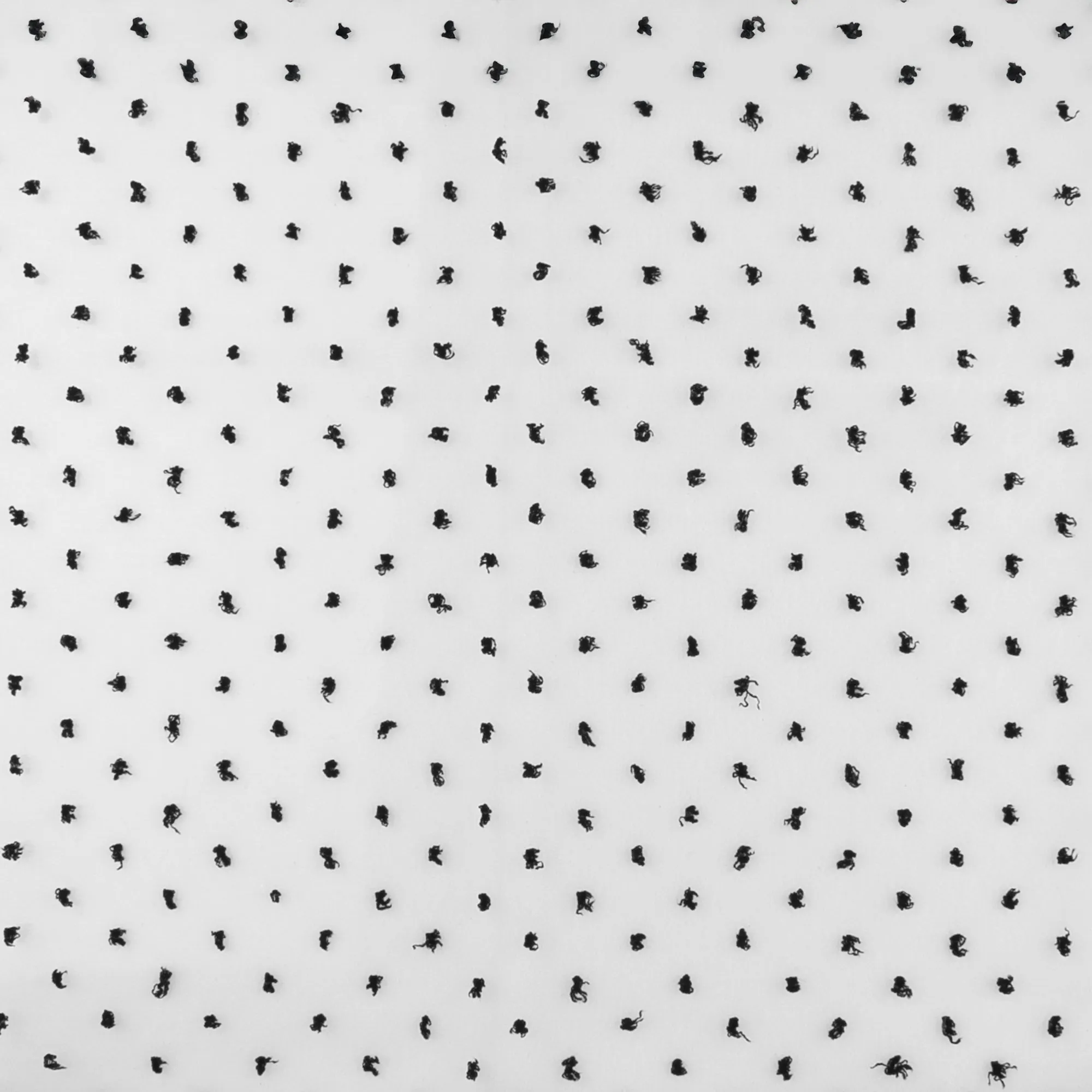 Organza with Embroidered Dot - DOTSY - White & Black