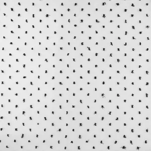 Organza with Embroidered Dot - DOTSY - White & Black